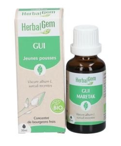 Gui (Viscum album) j.p.